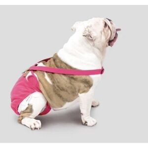 3 Pack Avont Washable Female Dog Diaper with Suspender, Reusable Medium NWT